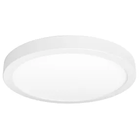 14" Edgelit Surface Mount Ceiling Fixture