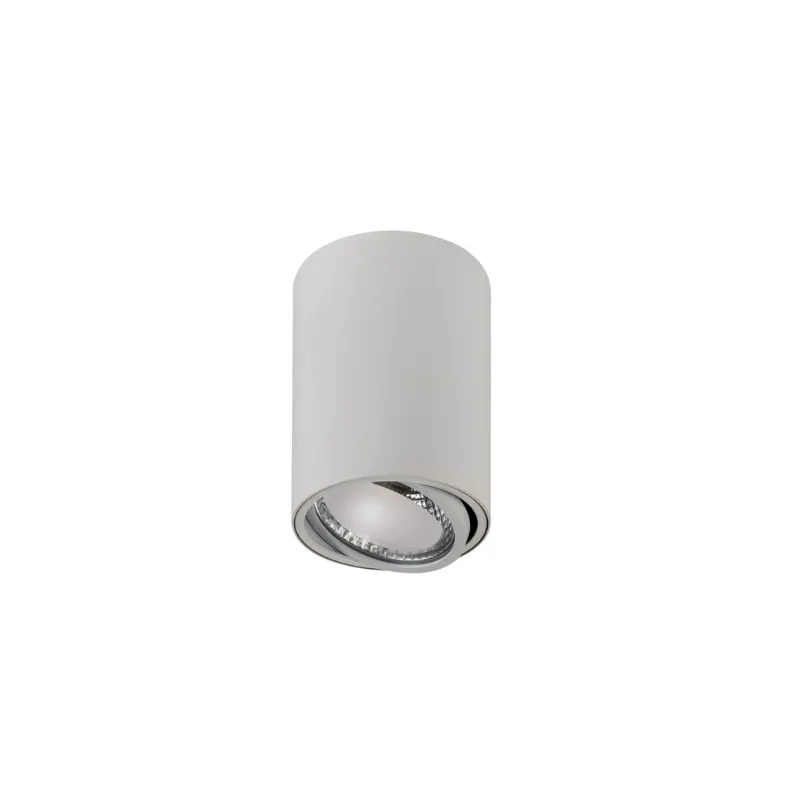 Adjustable Surface Mounted LED Downlight | TRIColour