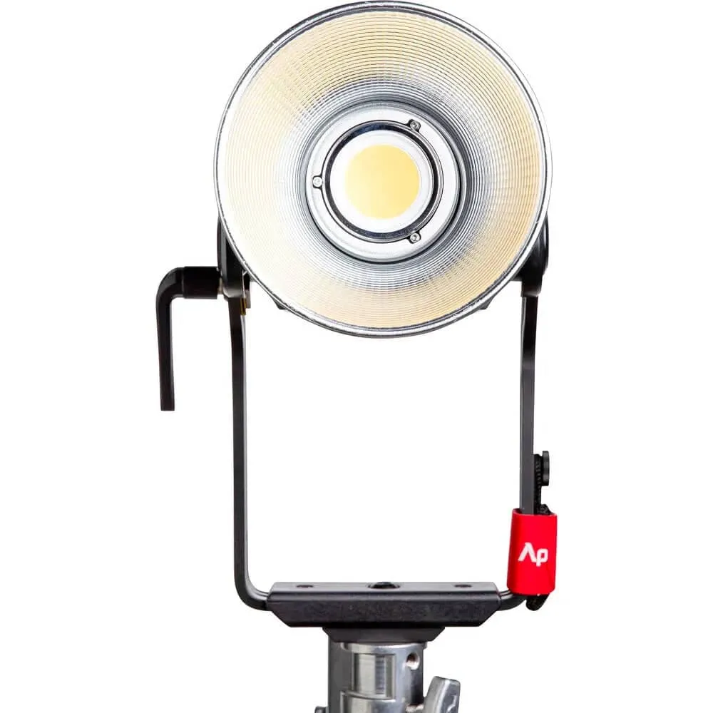 Aputure LS 600D Standard Daylight 600w LED Light