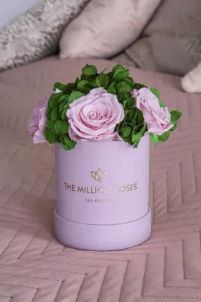 Basic Light Pink Suede Garden Box | Light Pink Roses