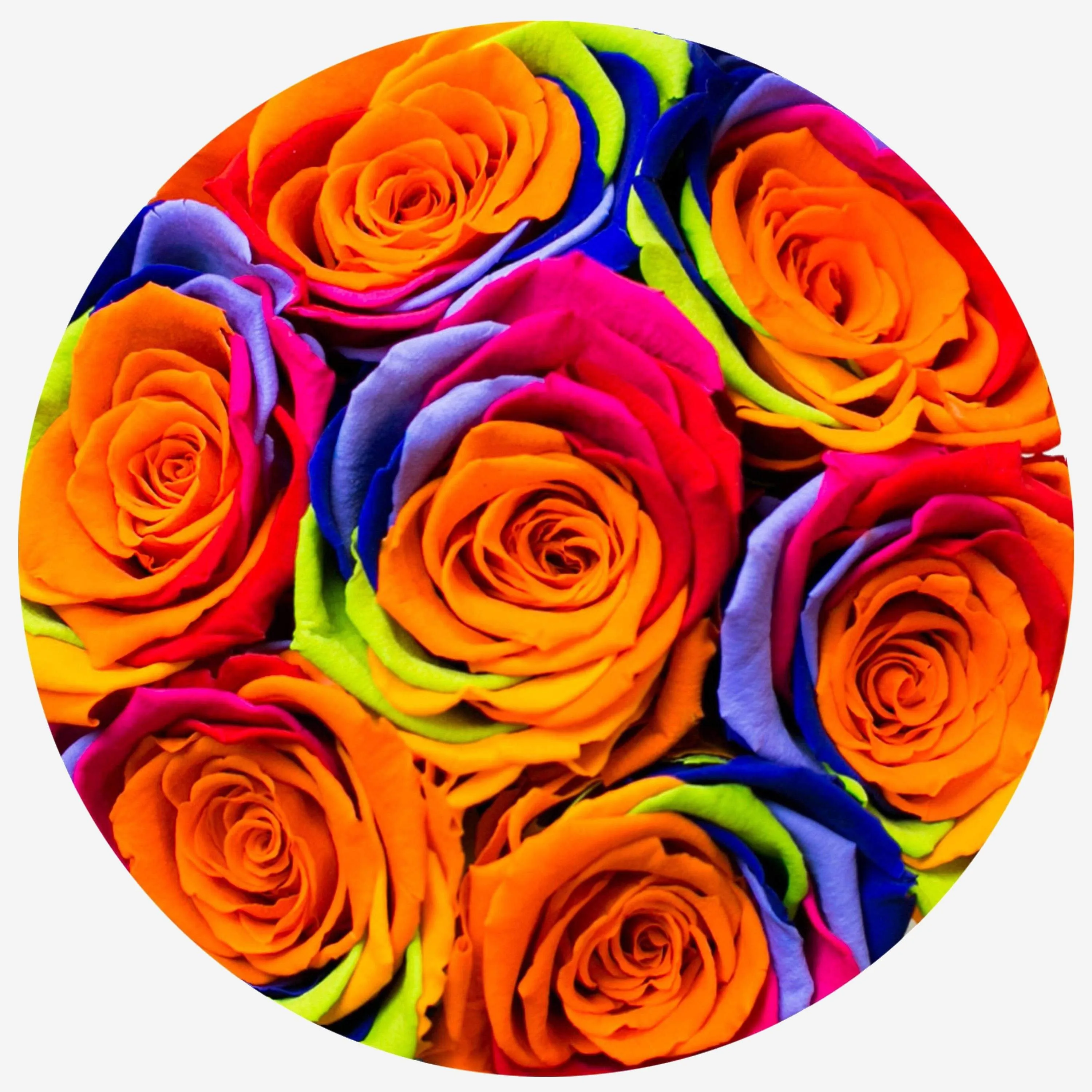 Basic Royal Blue Box | Rainbow Roses