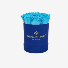 Basic Royal Blue Suede Box | Light Blue Roses