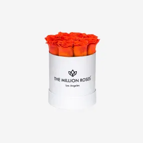 Basic White Box | Orange Roses