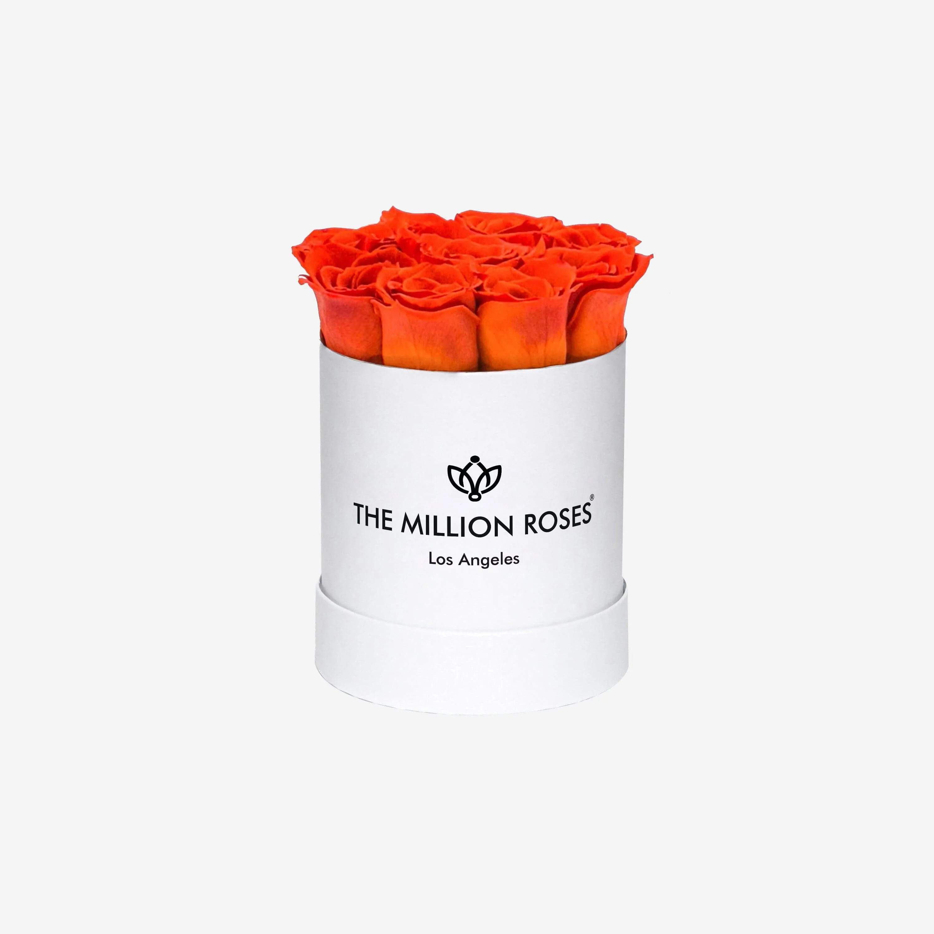 Basic White Box | Orange Roses