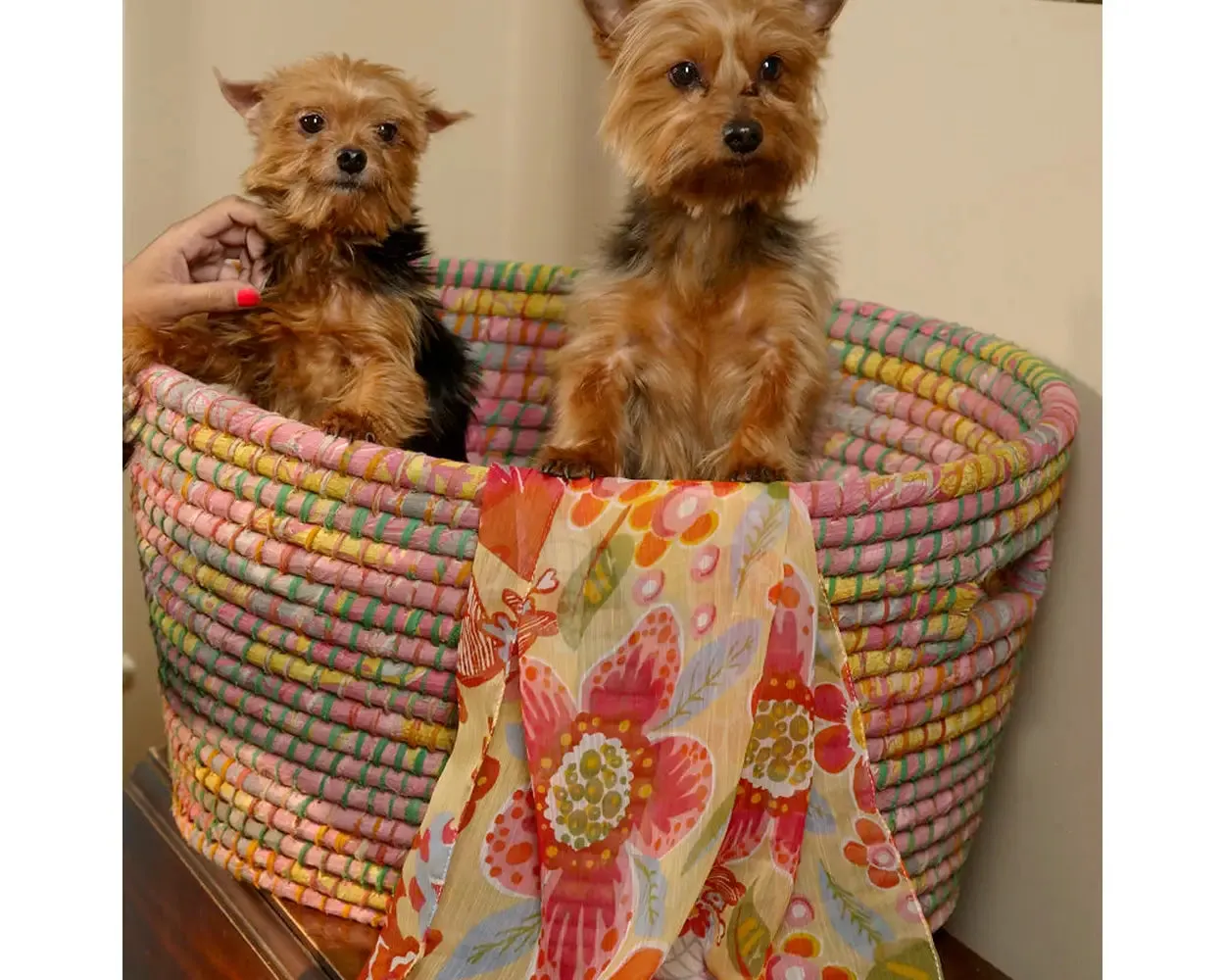 Bright Day Laundry Basket