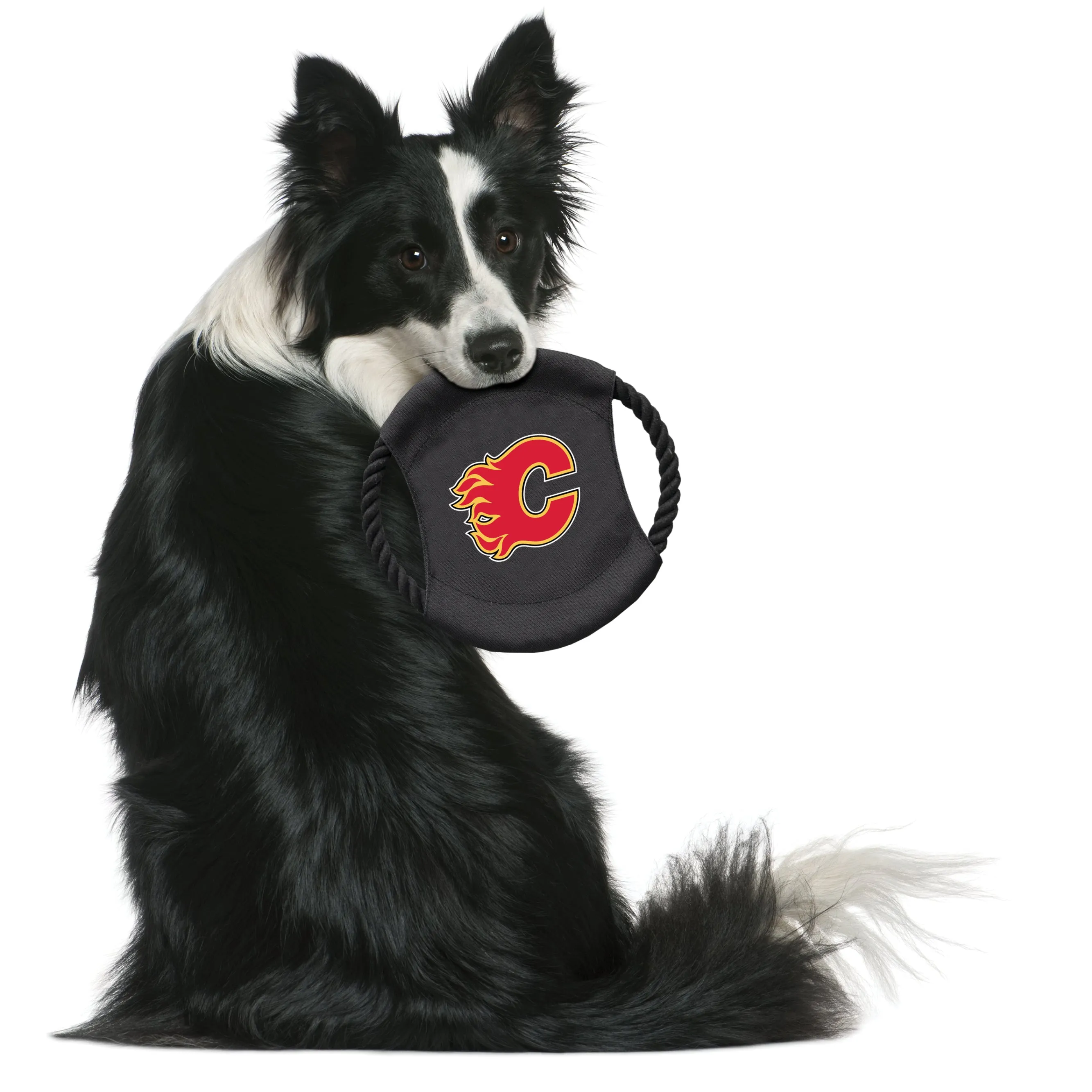 Calgary Flames Team Flying Disc Pet Toy