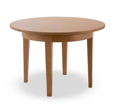 Charming Coffee Table by Tonon