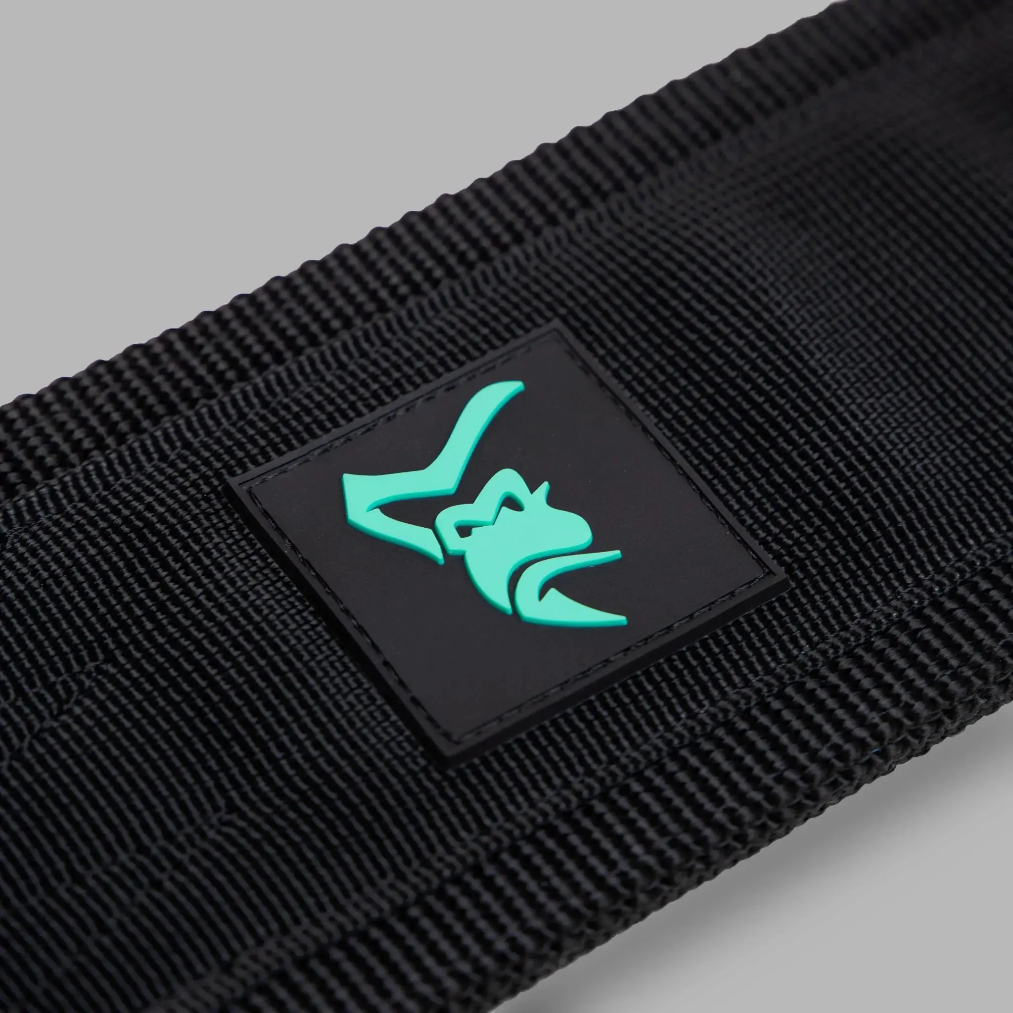 Fortis Deadlift Nylon Belt