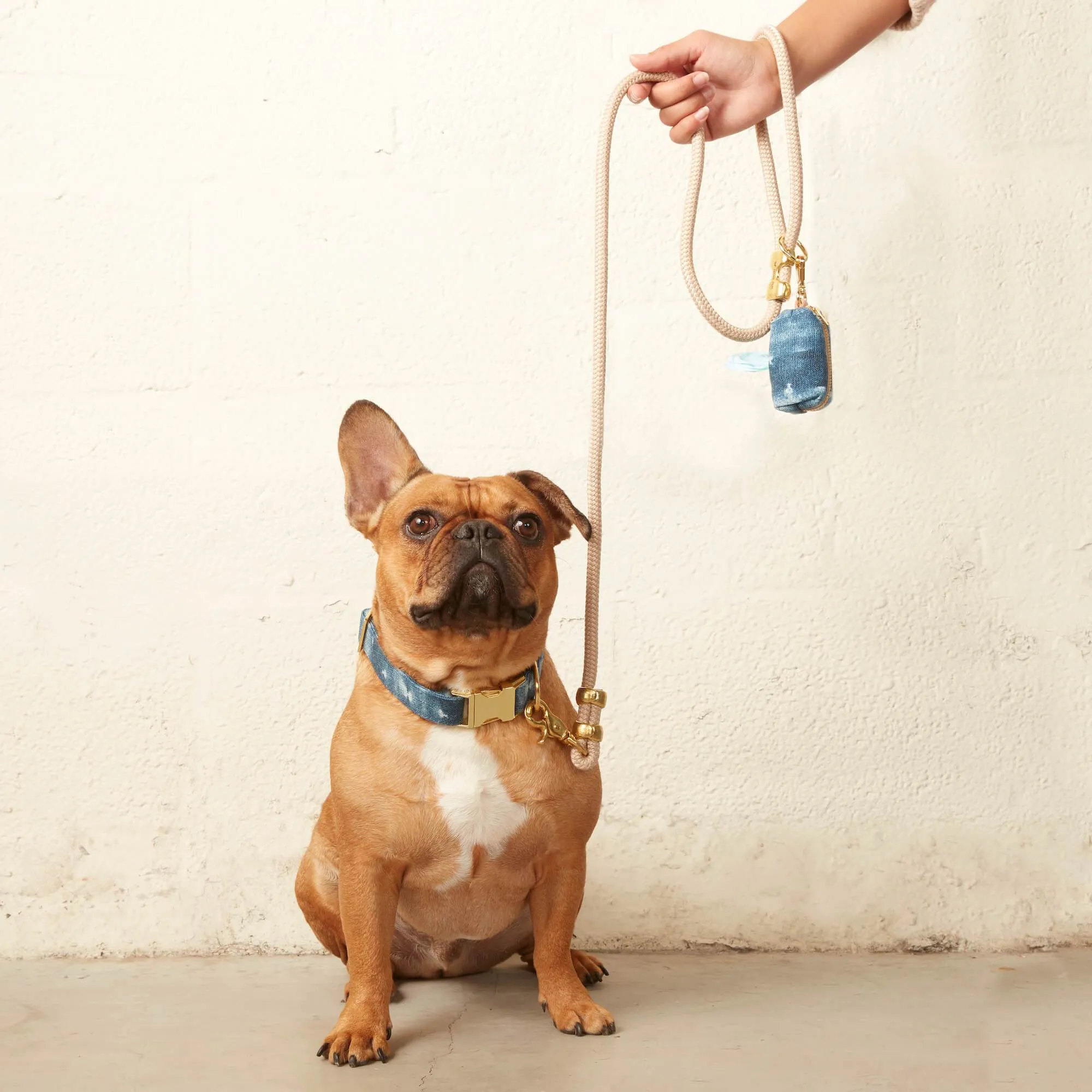 Indigo Mud Cloth Collar Walk Set