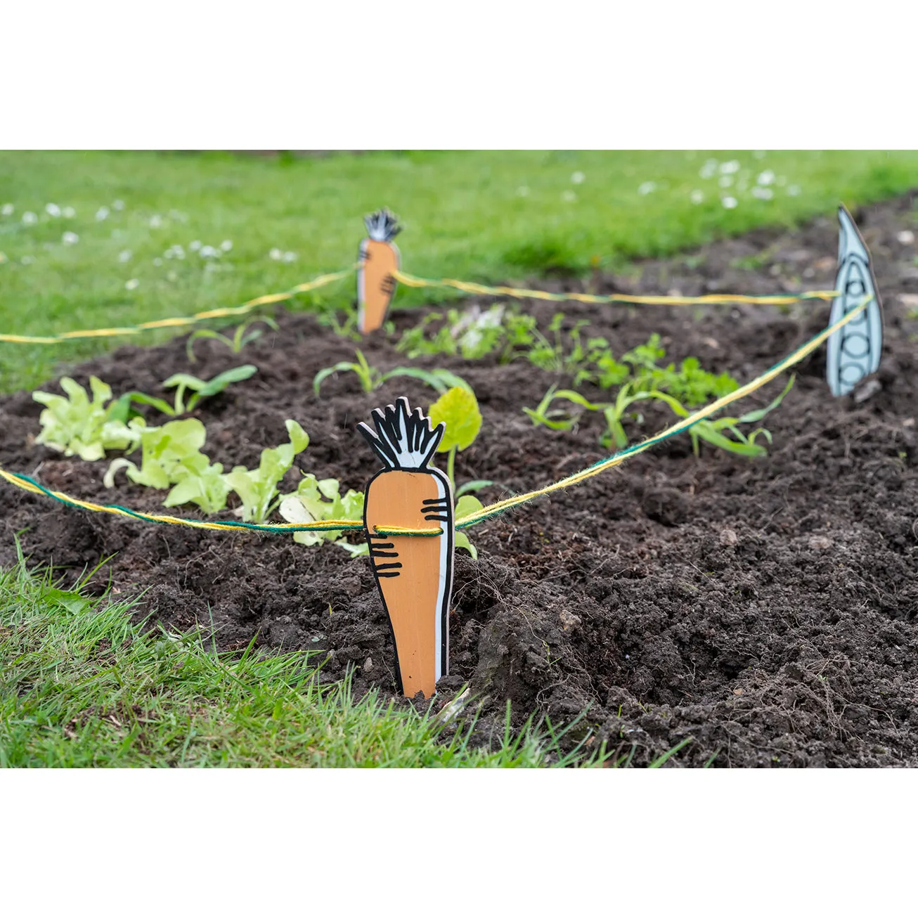 My Garden Patch Set, Vegetable - RHS Growing Gardeners