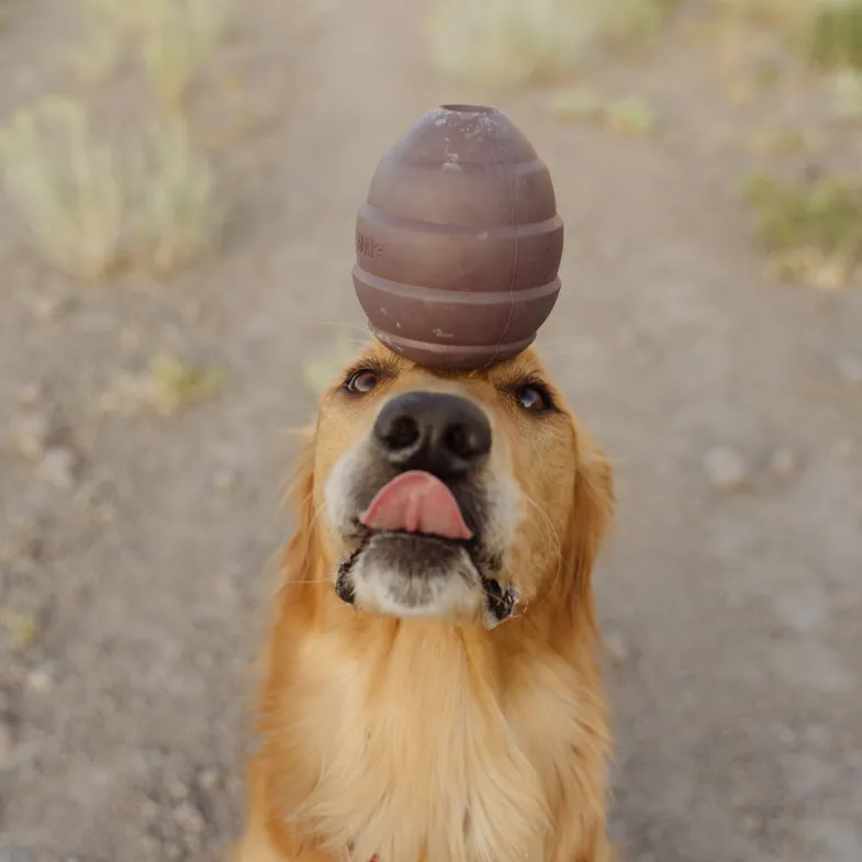 Pup's Treat Pinecone