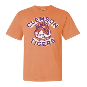 Retro Clemson Banks