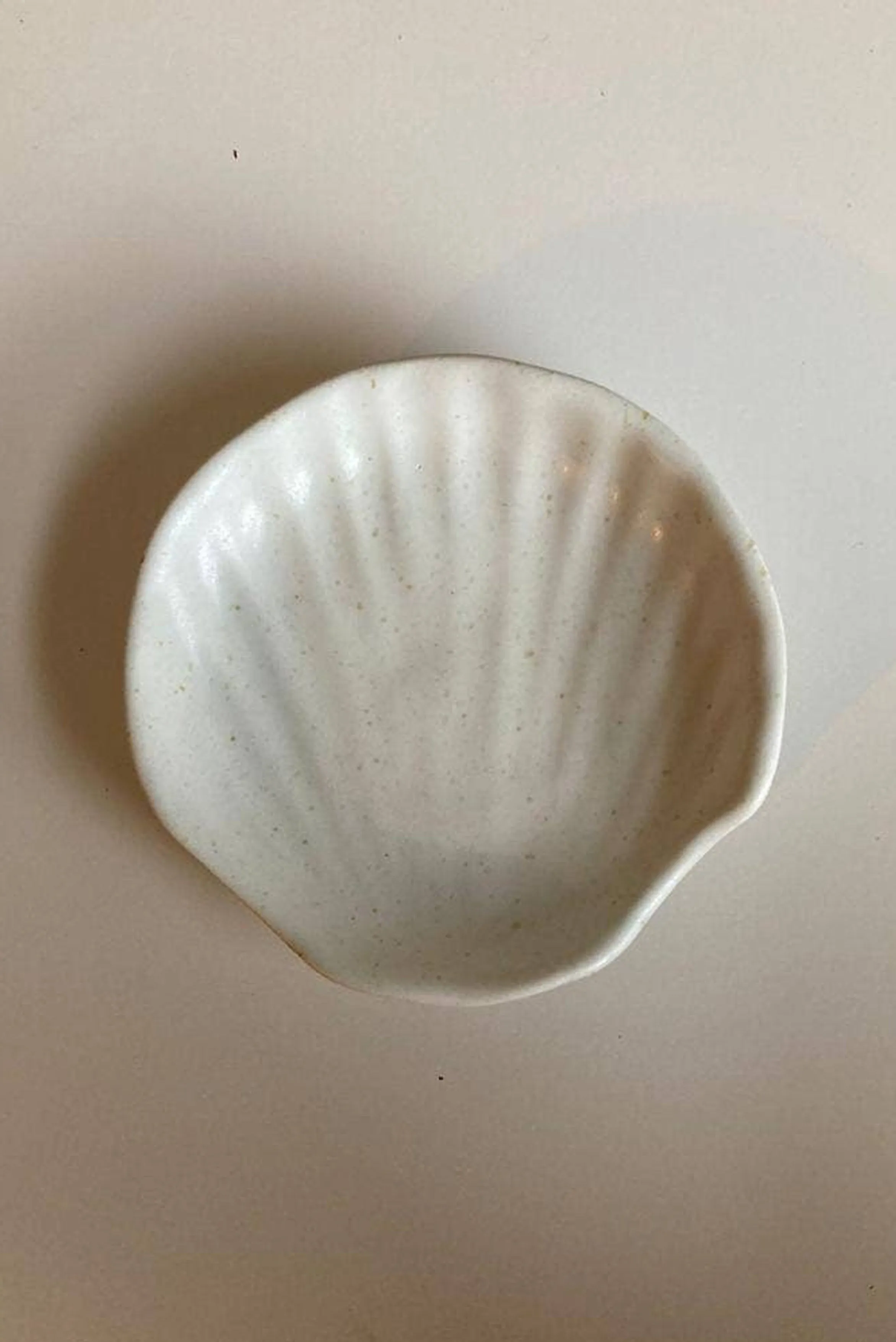 Seashell Tray