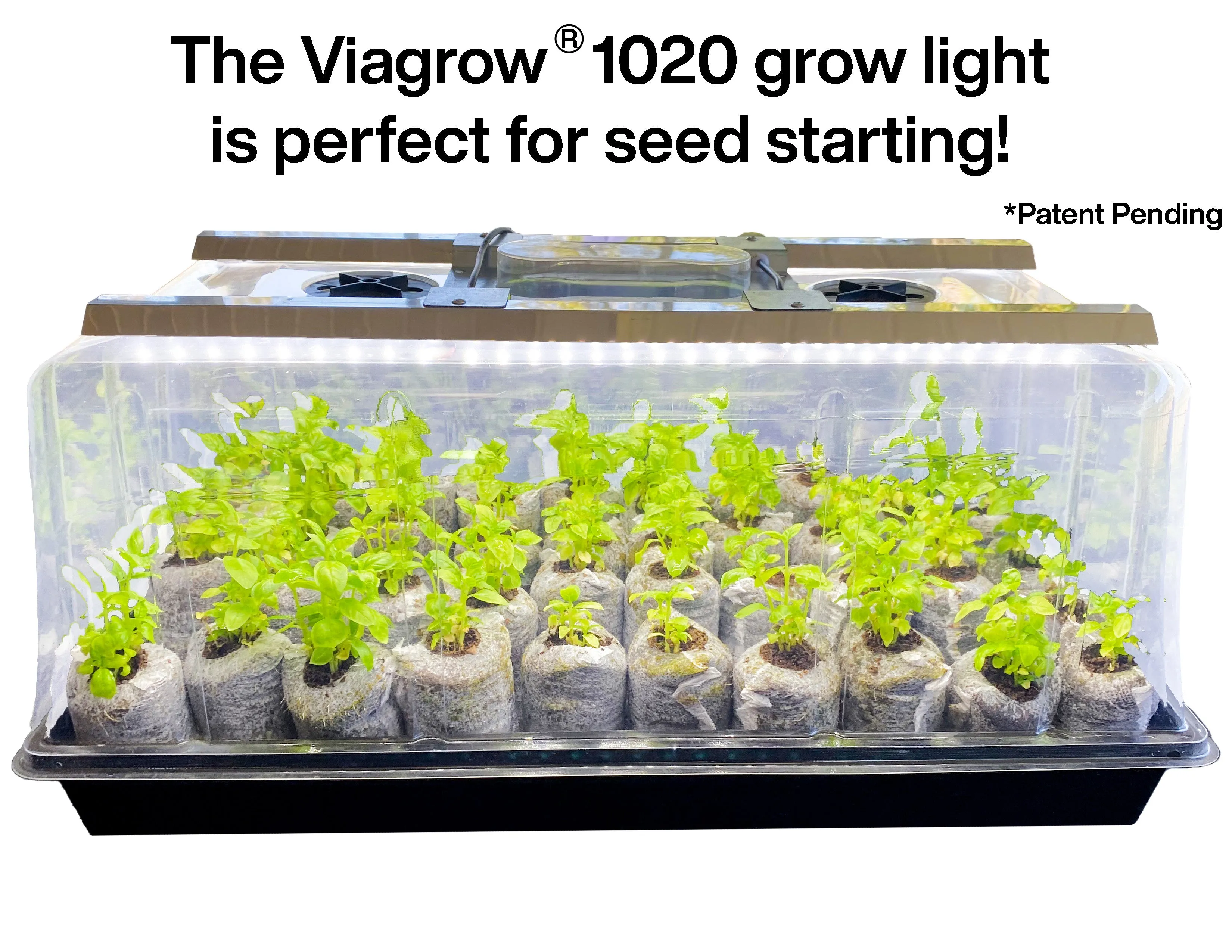 Viagrow Seedling Station Kit w/ LED Grow Light, Propagation Dome 4x Durable Propagation Tray & Coir