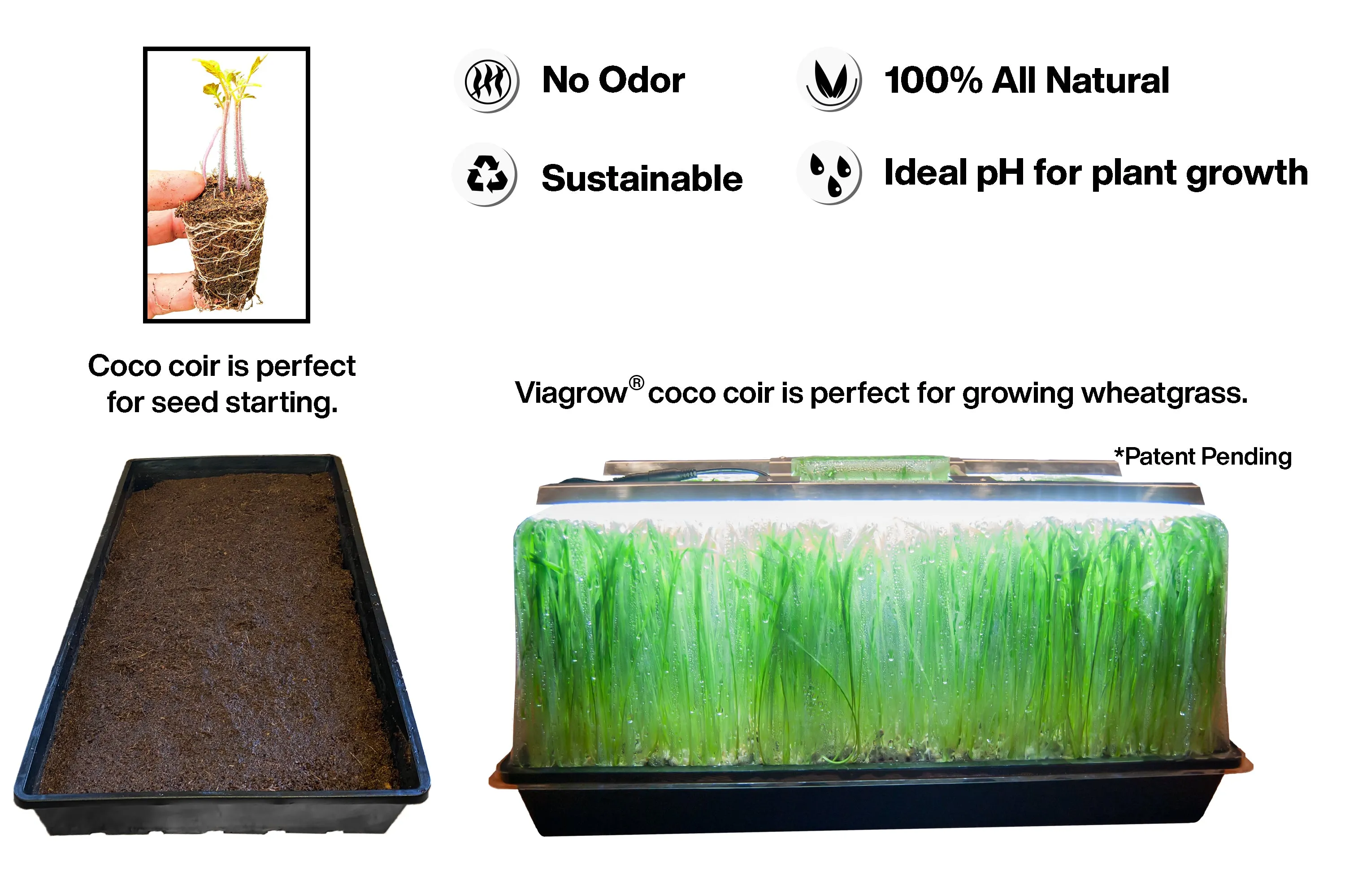 Viagrow Seedling Station Kit w/ LED Grow Light, Propagation Dome 4x Durable Propagation Tray & Coir