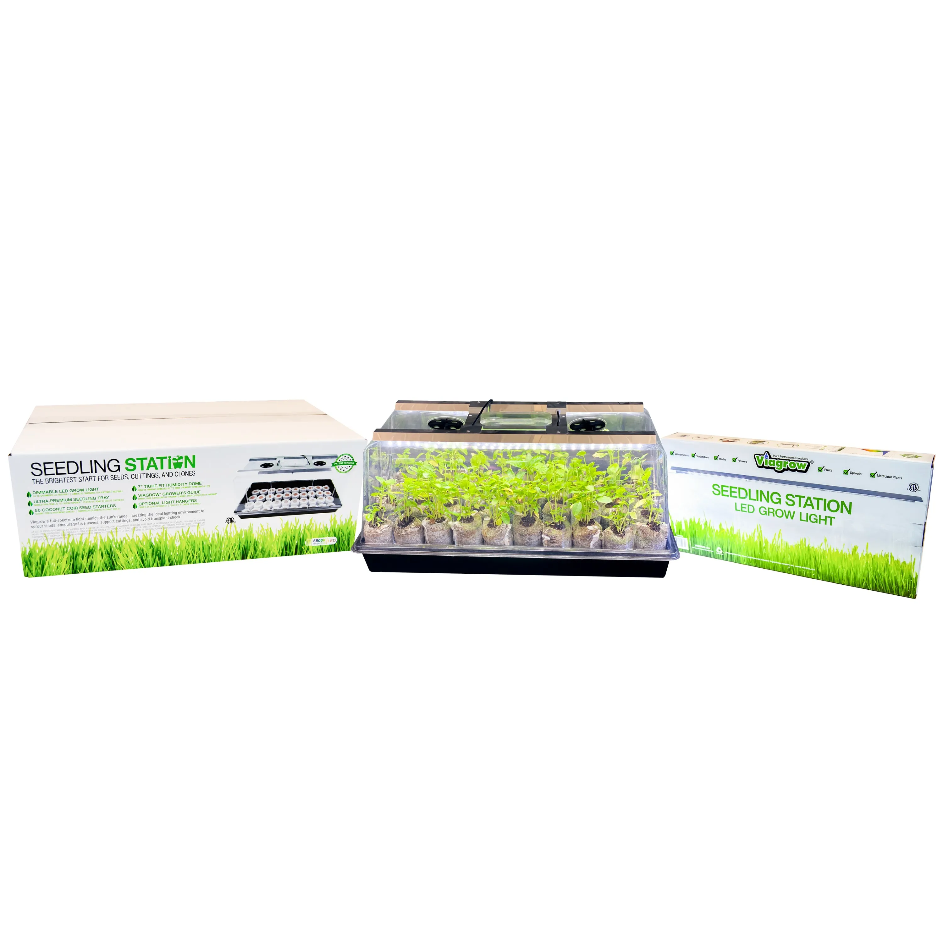 Viagrow Seedling Station Kit with LED Grow Light, Propagation Dome, Tray and 50 Coir Seedling Starters