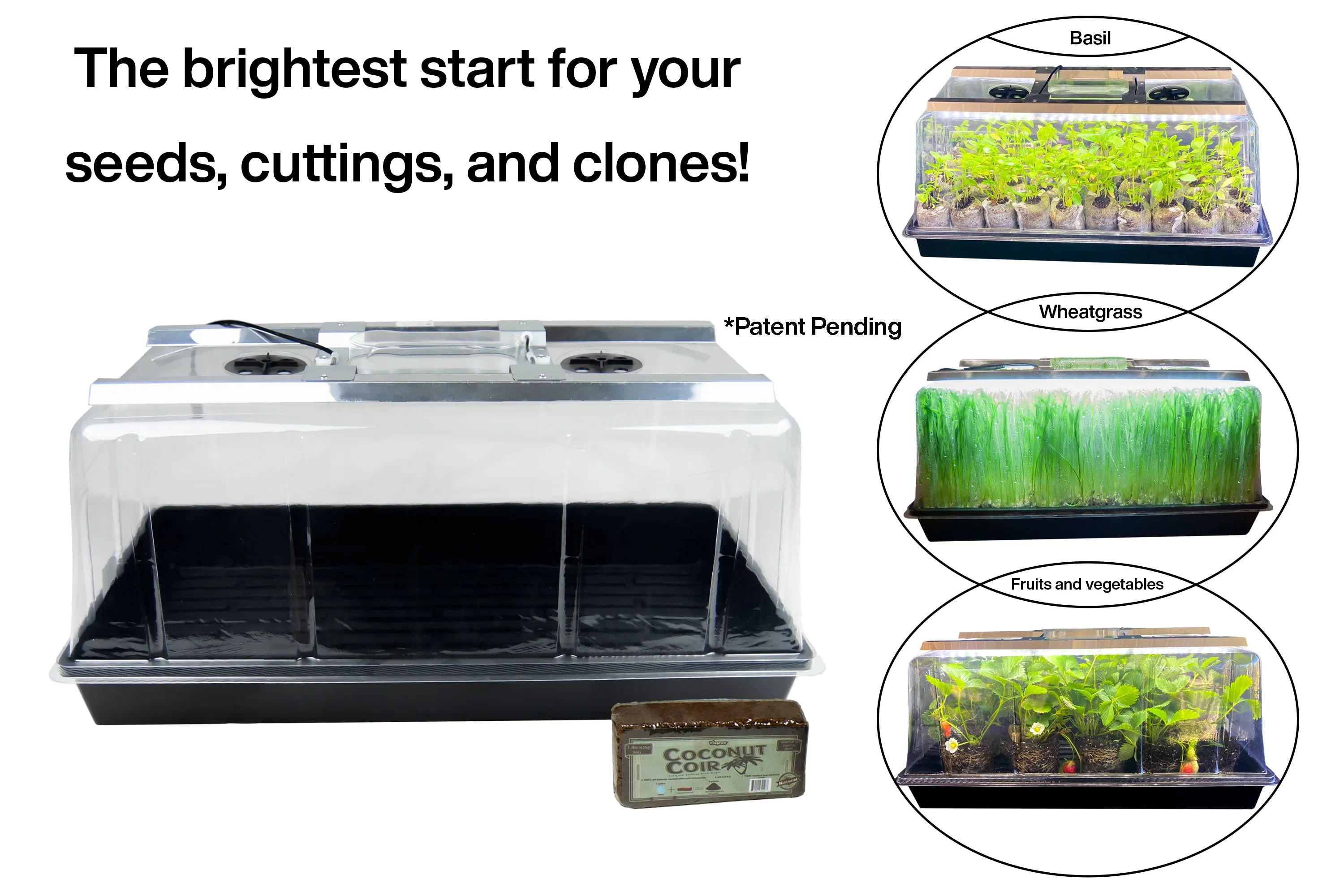 Viagrow Seedling Station Kit with LED Grow Light, Propagation Dome, Tray and 50 Coir Seedling Starters